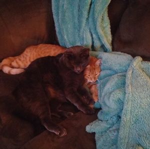 Meet your Posher, Cindy